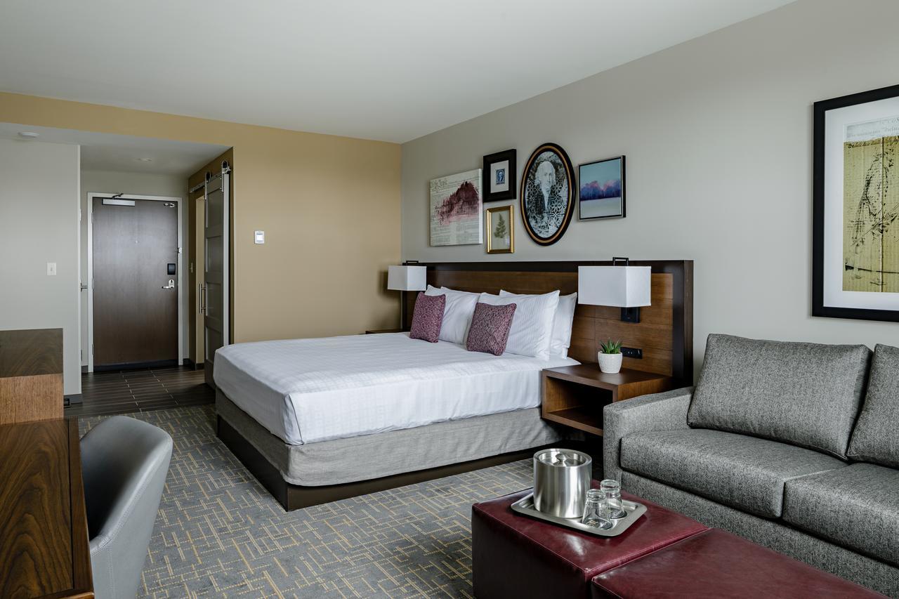 Superior King Room,1224359245:JPEG